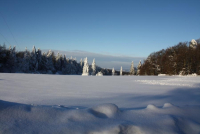 IMG_1324.JPG