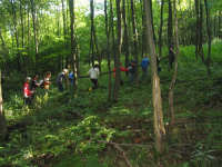 100-0074_IMG.JPG