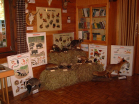 Meissnerwandertag033.JPG