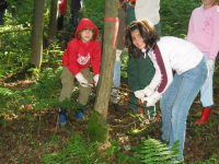 100-0073_IMG.JPG