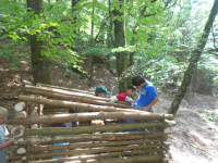 Bild 231.JPG
