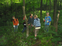 100-0064_IMG.JPG