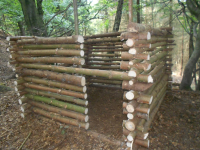 Bild 205.JPG