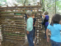 Bild 241.JPG