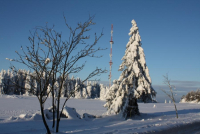 IMG_1320.JPG