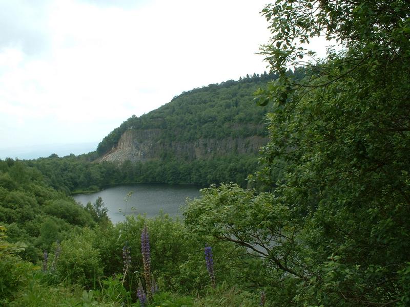 DSCF0042
