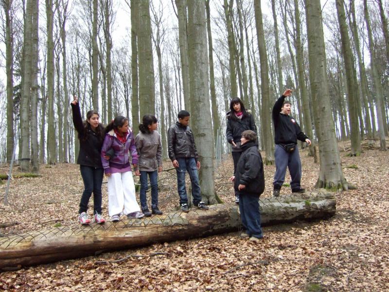 Tag 1 - Spiele im Wald (12)